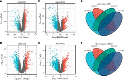 Identification of oncogenes and tumor-suppressor genes with hepatocellular carcinoma: A comprehensive analysis based on TCGA and <mark class="highlighted">GEO datasets</mark>